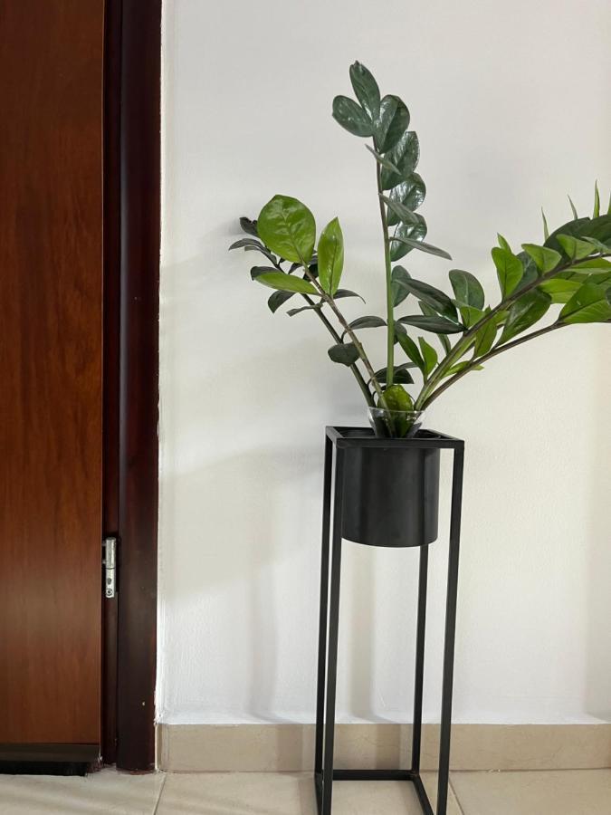 Seaside Cozy Apartment Agia  المظهر الخارجي الصورة